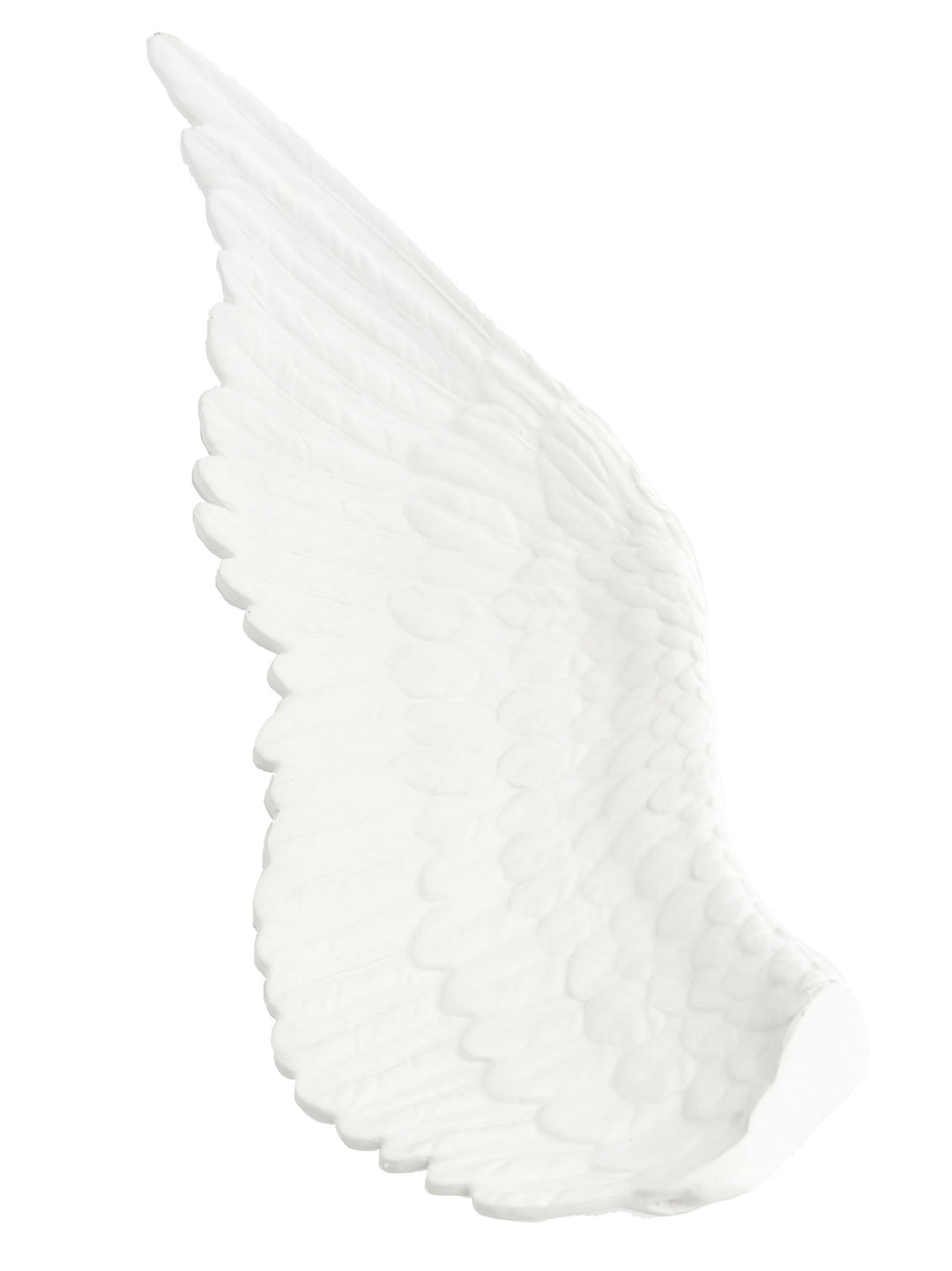 Memorabiliamuseum - Wings Right Decorative Accessories Bianco