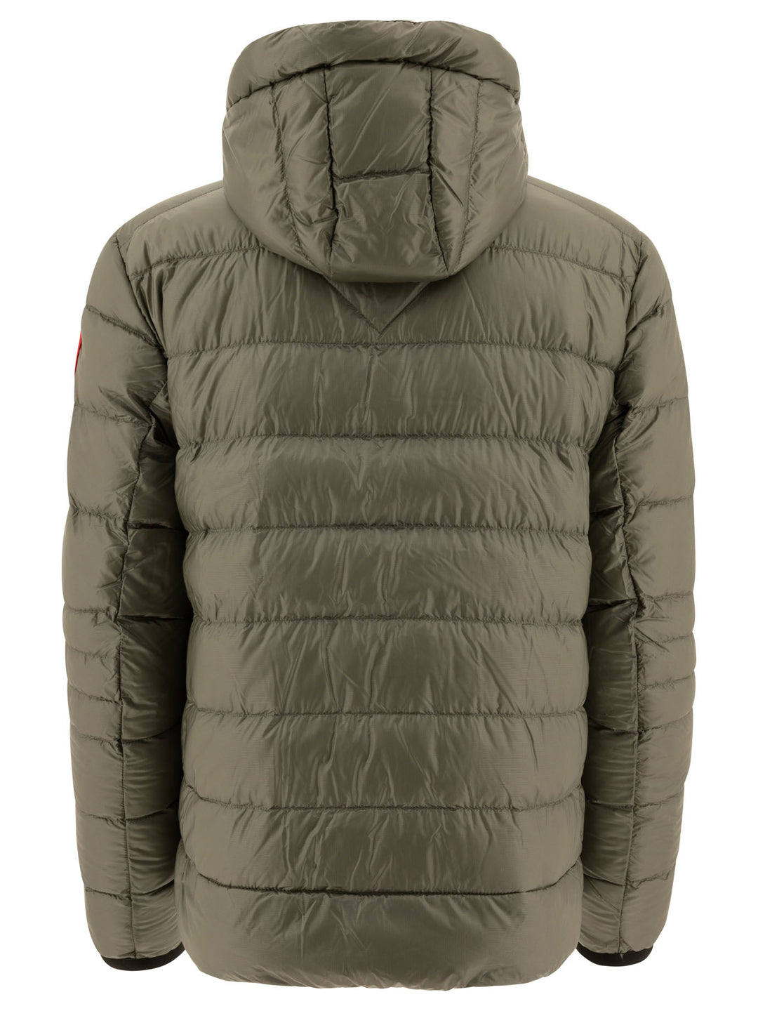 Crofton Hoody Giacche Verde