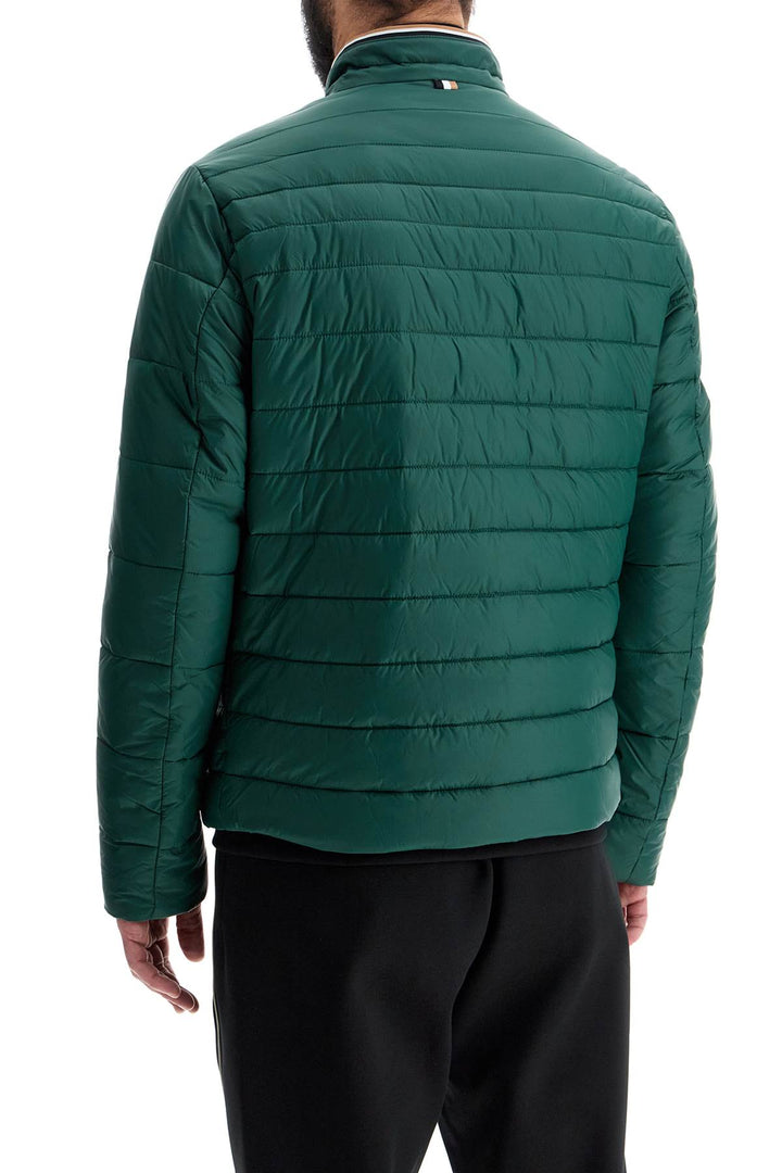 Piumino Verde Collo Alto Regular Fit Con Zip