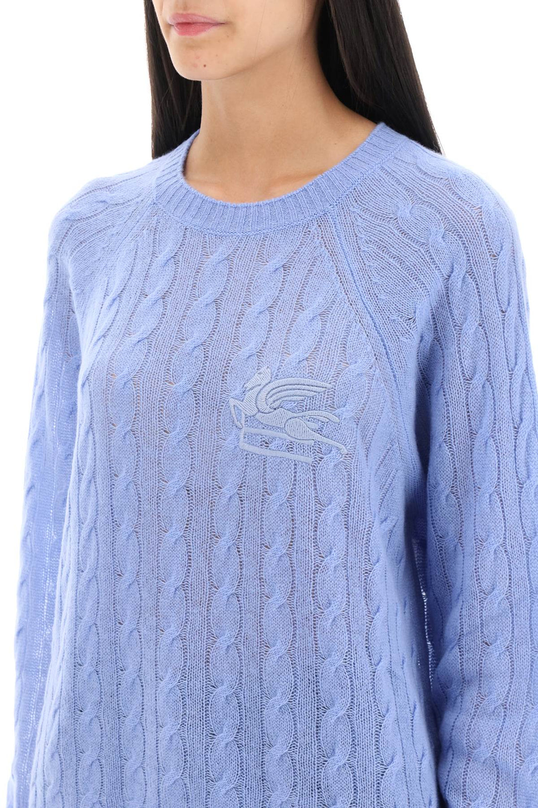 Pullover In Cashmere Con Ricamo Pegaso - Etro - Donna